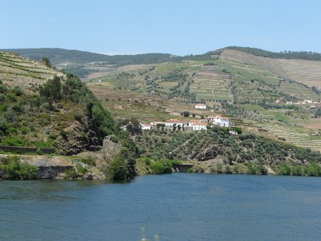 Vineyards abound in the Douro valley, which is a wonderful, lush suntrap