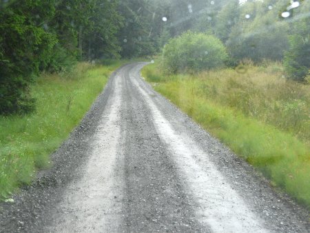 This forest road went on for about 12 miles and was much bumpier than it looks... thankfully, as it was Sunday, the timber trucks were having a day off - you have been warned!