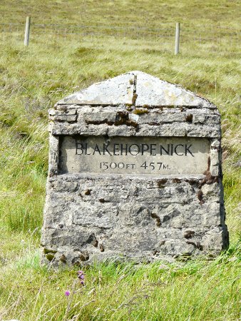 Blakehopenick - the peak of the park!