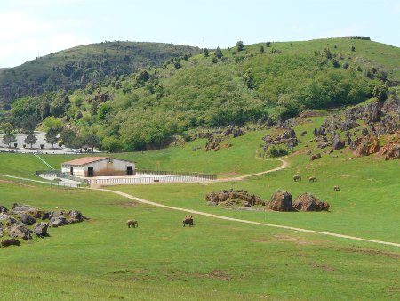 The elephant enclosure