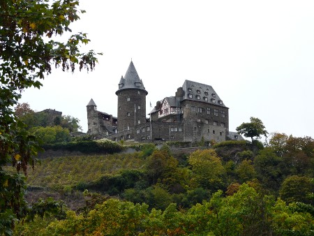 The Rhineland is characterised by castles and vineyards such as these