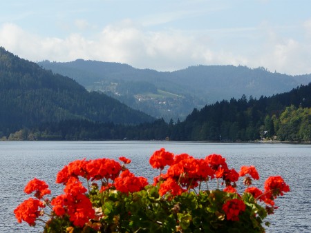 (Lake) Titisee