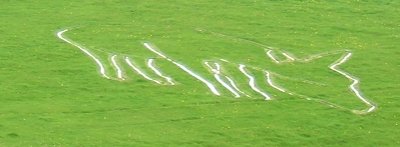 Donkey version of the Kilburn White horse, Donkey Sanctuary, Sidmouth