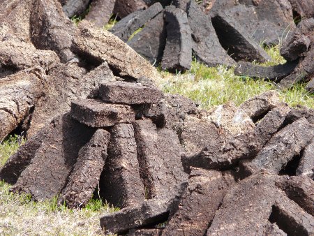 Recently cut blocks of peat