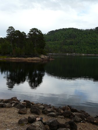 Glen Affric view