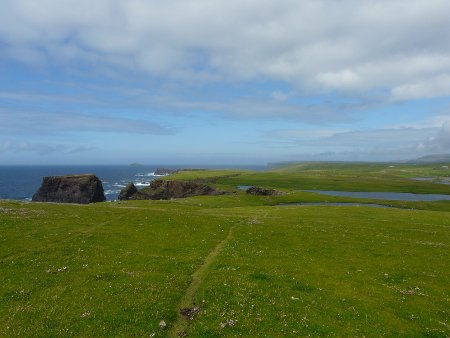 No trees in Shetland