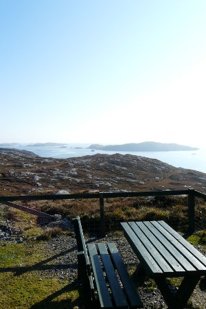 An amazing view from a picnic area