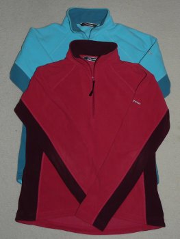 Berghaus Spectrum Micro Fleece (women's)