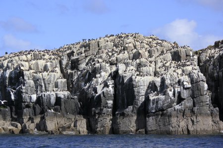 Staple Island from the Sea