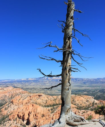 Bryce Canyon National Park