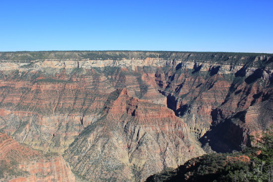 A view at North Rim