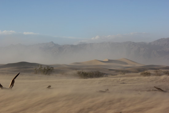 Mesquite sand dunes in Death Valley