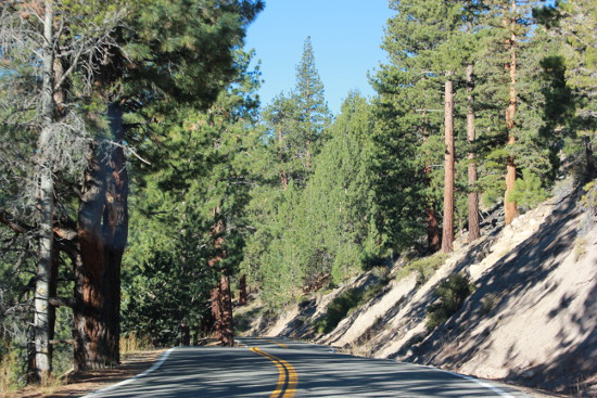 Driving the Sonora Pass