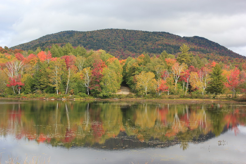 New England fall colours reflected in lake