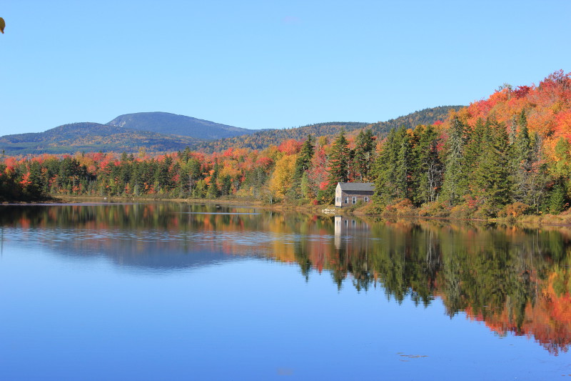 Lake with trees in fall, Maine