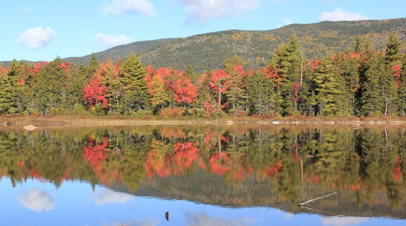 Fall colours reflected in lake