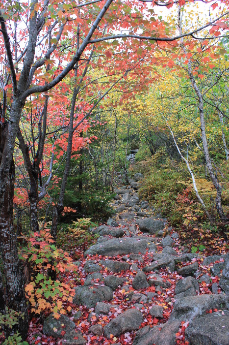 North Ridge Trail to Cadillac Mountain summit