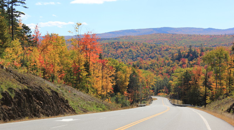 Empty road in Maine