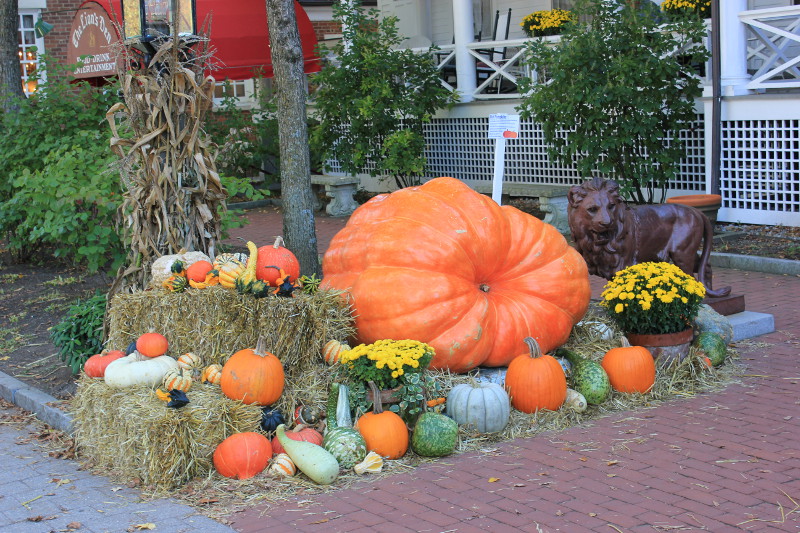 Pumpkin display in Stockbridge