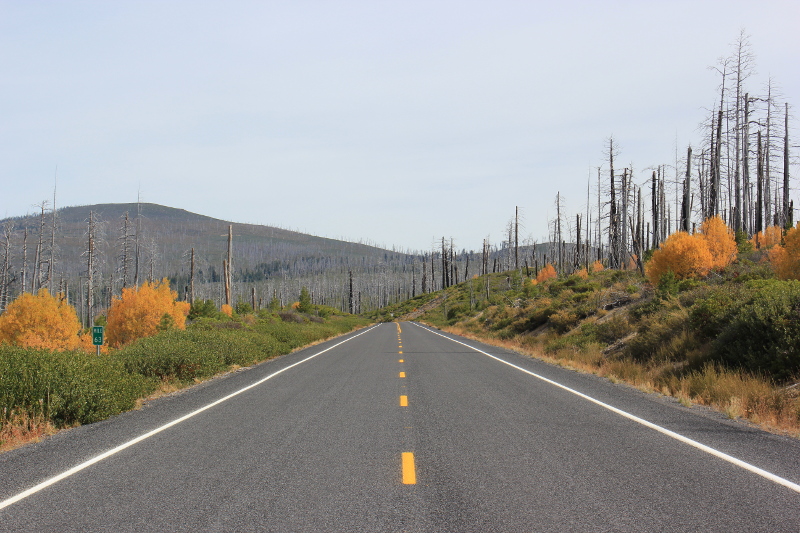 Cascades Lakes Scenic Byway, OR