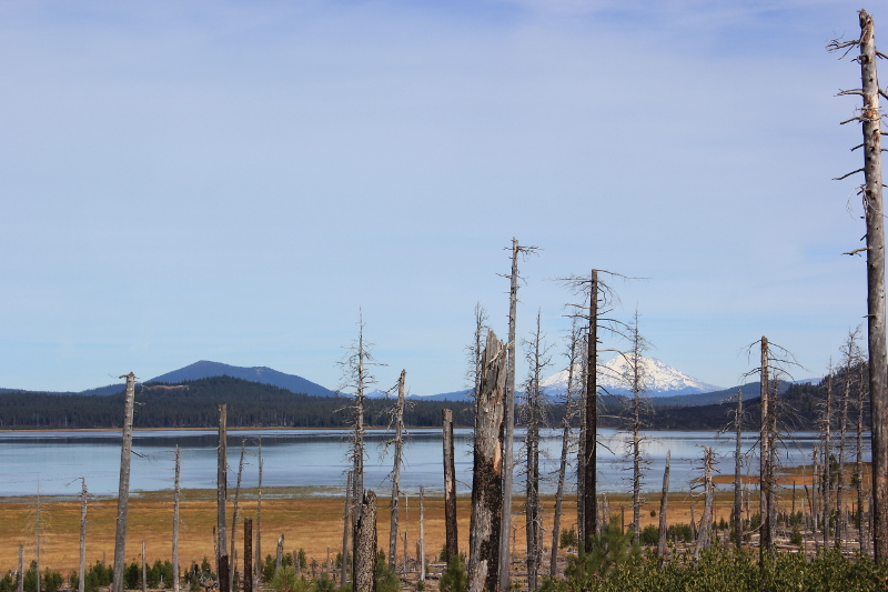 Cascades Lakes Scenic Byway, OR