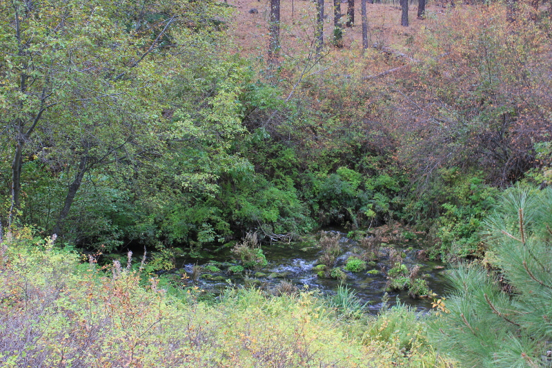 Metolius River, Sisters, OR