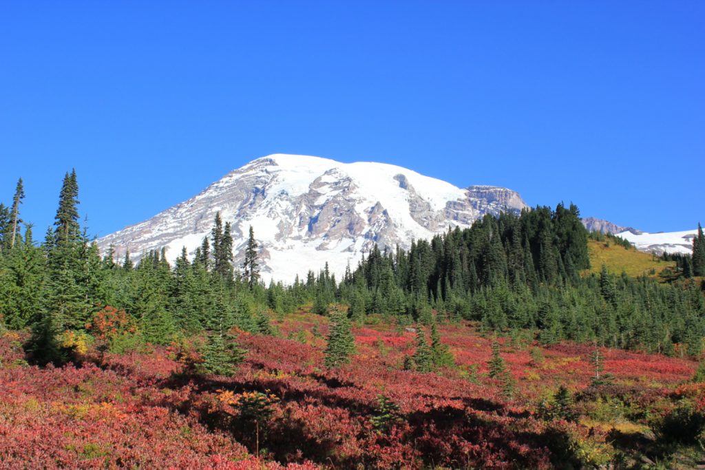 Mount Rainier, WA, USA