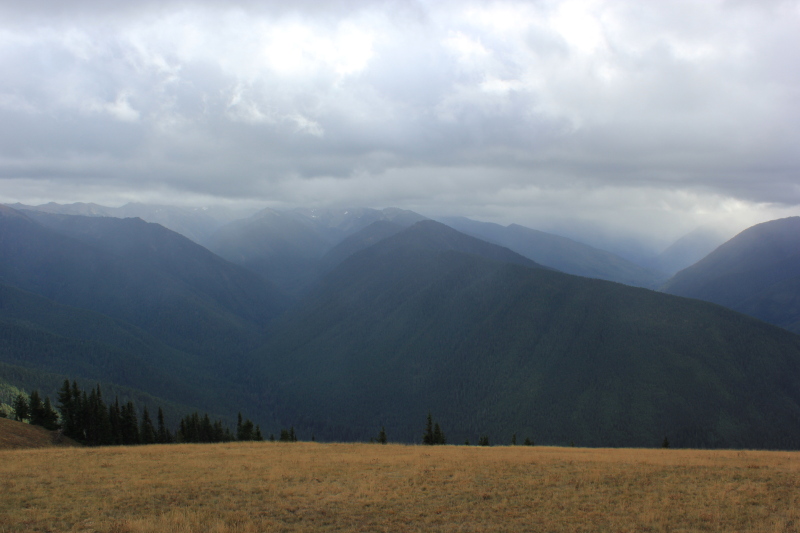 Olympic National Park, Washington, USA