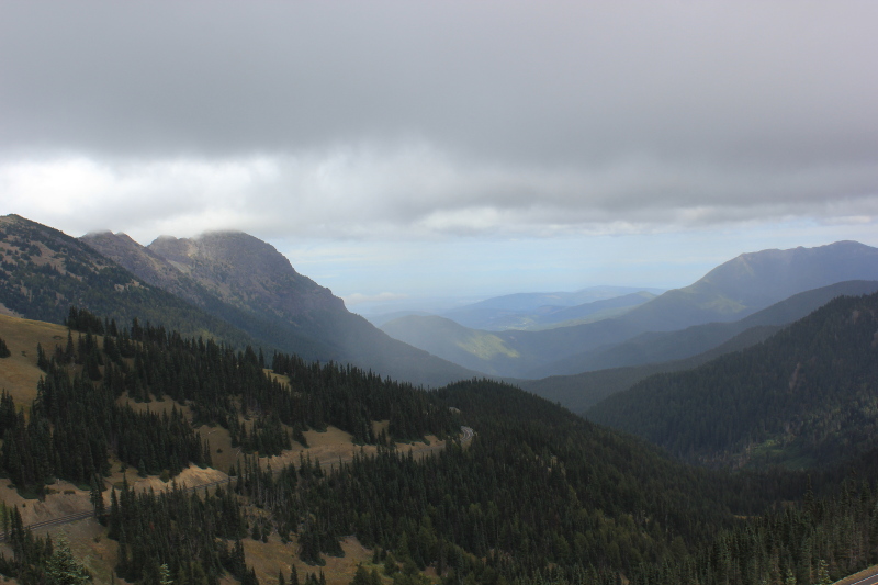 Olympic National Park, Washington, USA