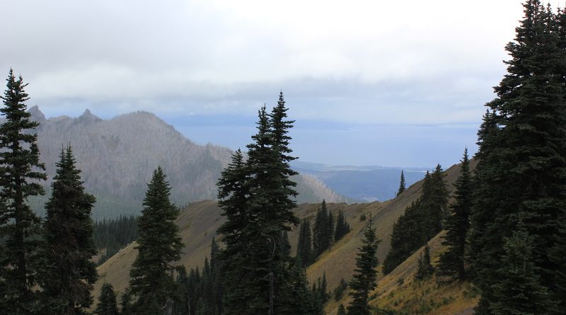 Olympic National Park, Washington, USA