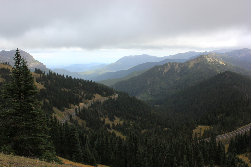 Olympic National Park, Washington, USA