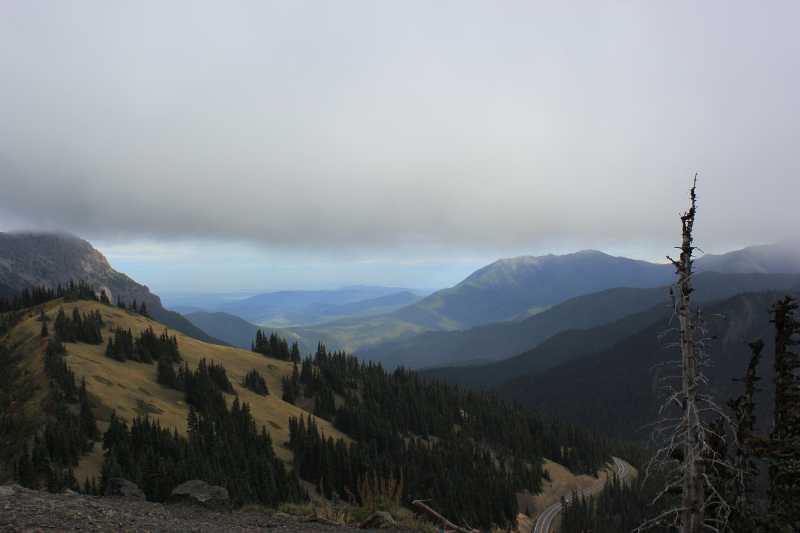 Olympic National Park, Washington, USA