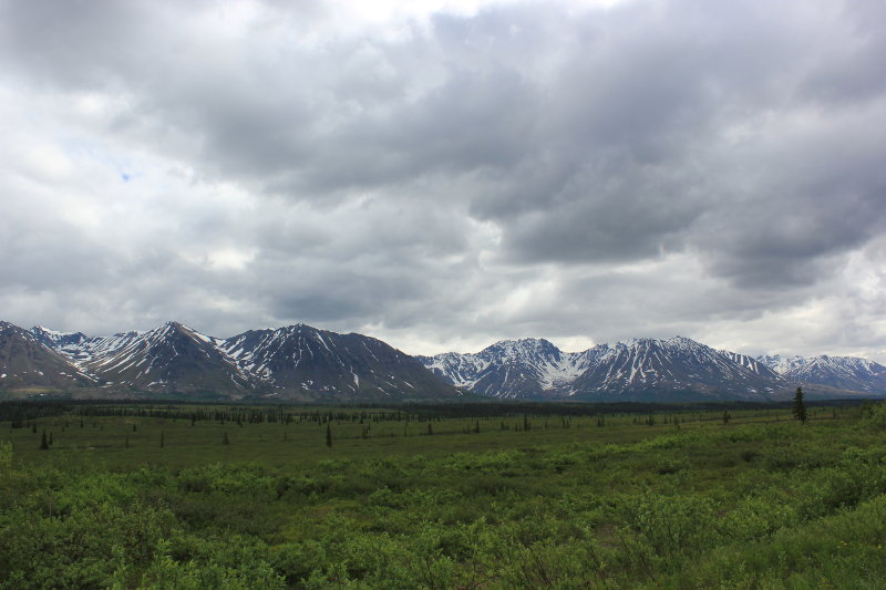 Parks Highway, Denali