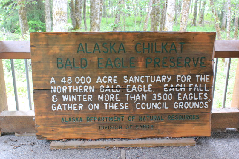 Chilkat Bald Eagle Preserve