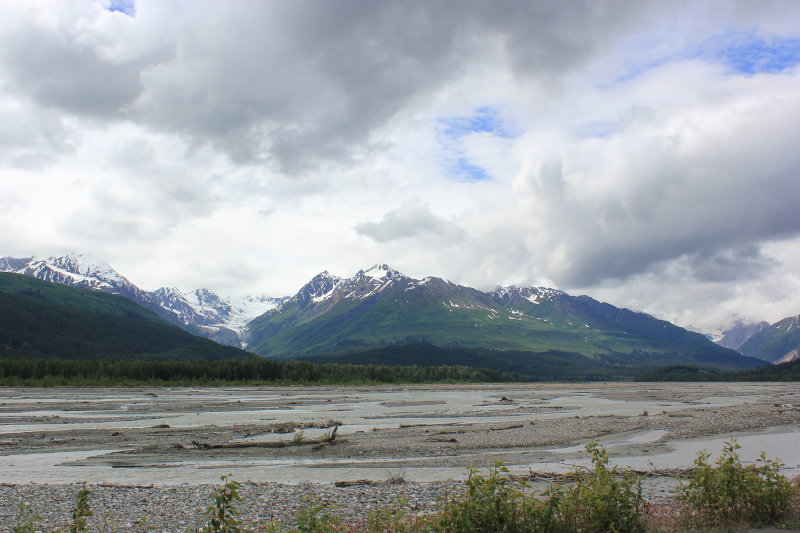 Chilkat Bald Eagle Preserve