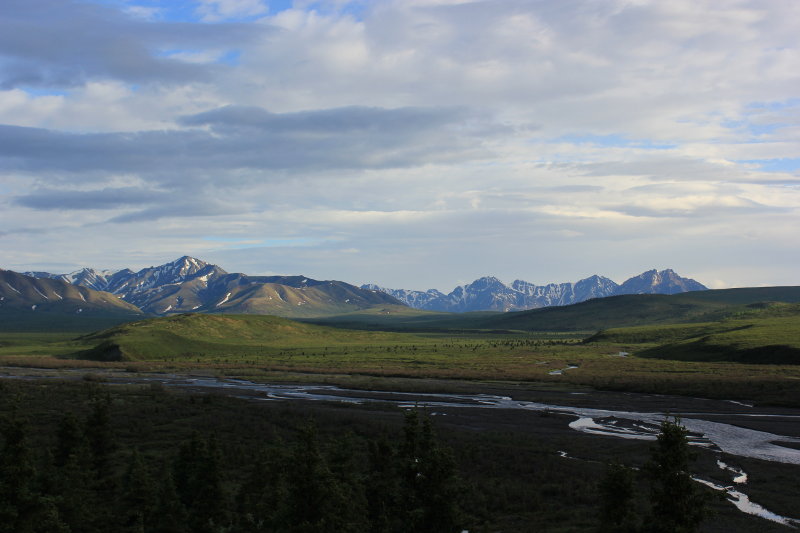 Denali National Park