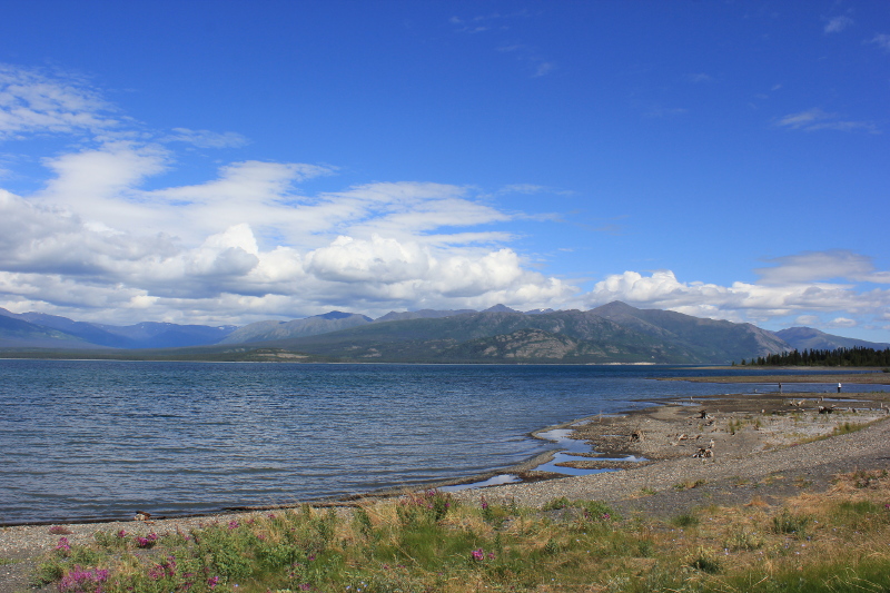 Destruction Bay, Yukon, Canada