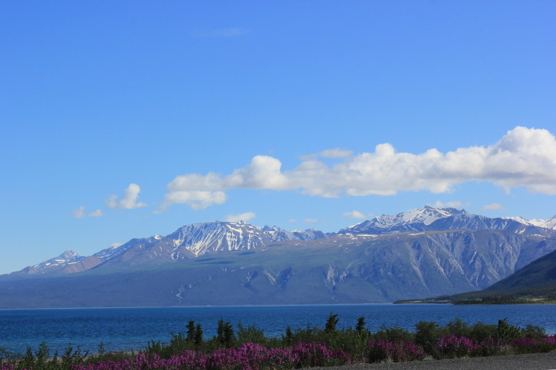 Driving to Haines Junction, Canada