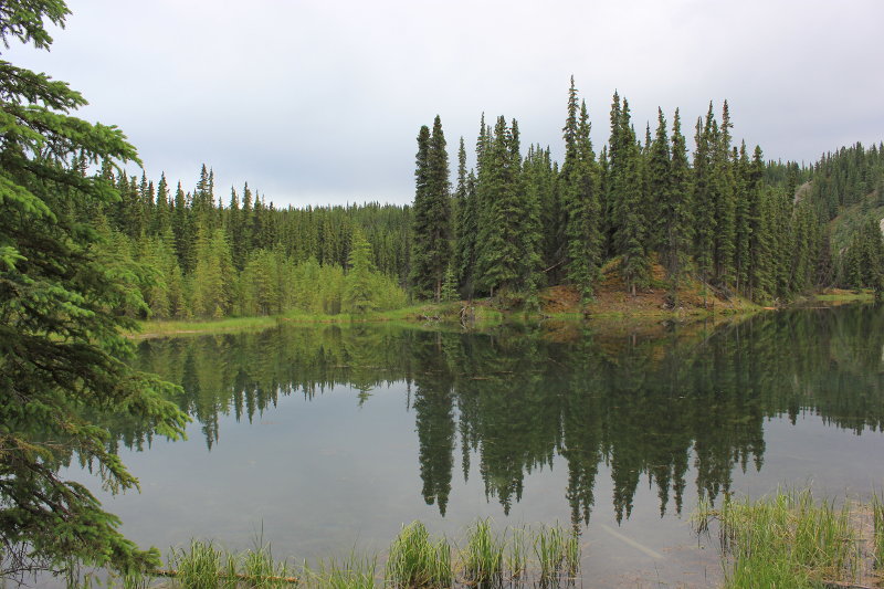 Horseshoe Lake Trail, Denali National Park