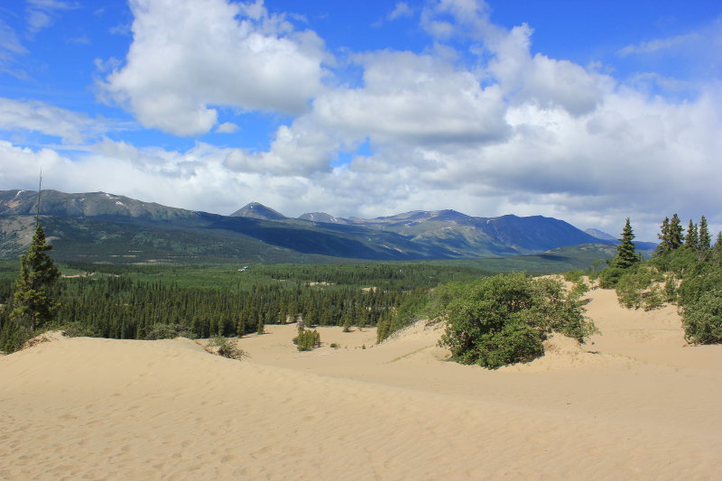 Carcross Desert, Yukon, Canada