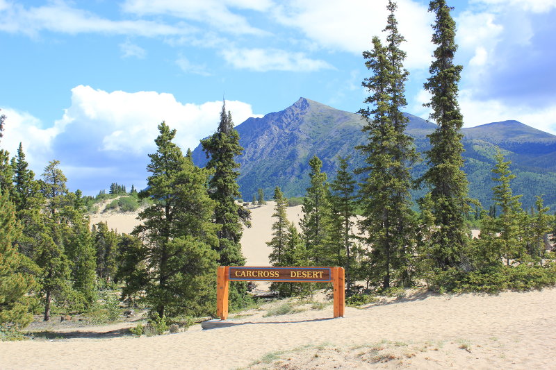 Carcross Desert, Yukon, Canada