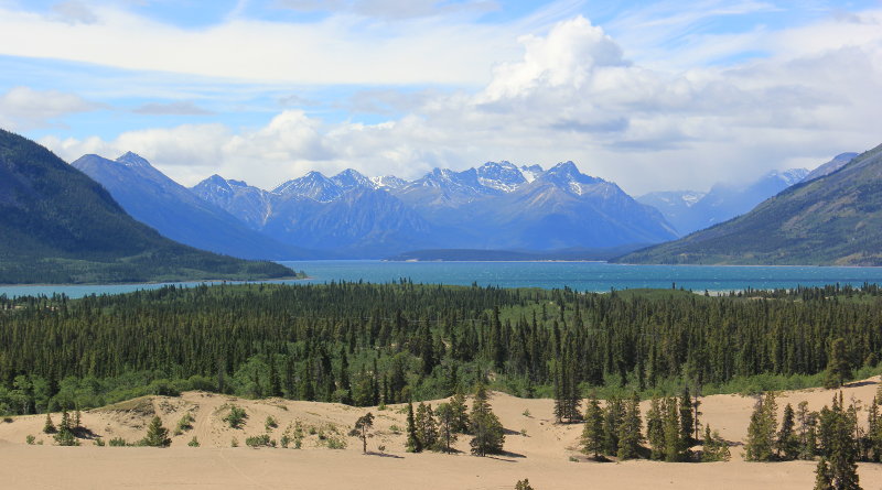 Carcross Desert, Yukon, Canada