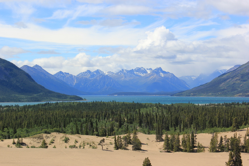 Carcross Desert, Yukon, Canada