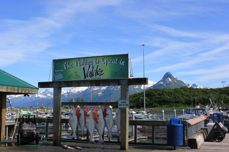 Valdez