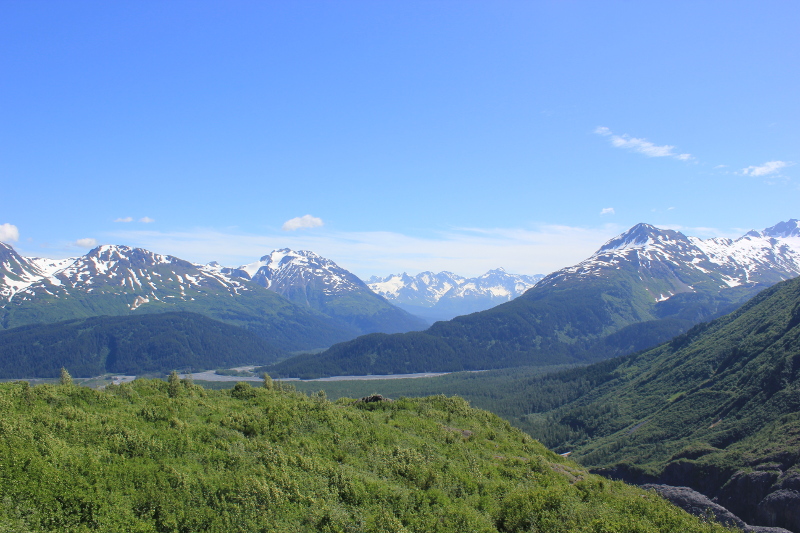 Exit Glacier, Kenai Peninsula