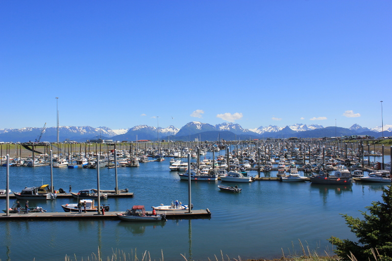 Homer Marina, Kenai Peninsula