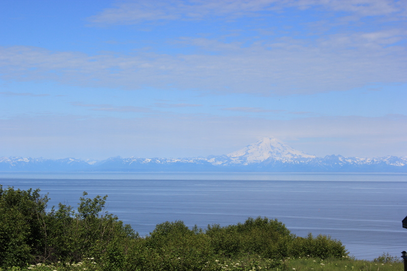 View driving down the Kenai Peninsula