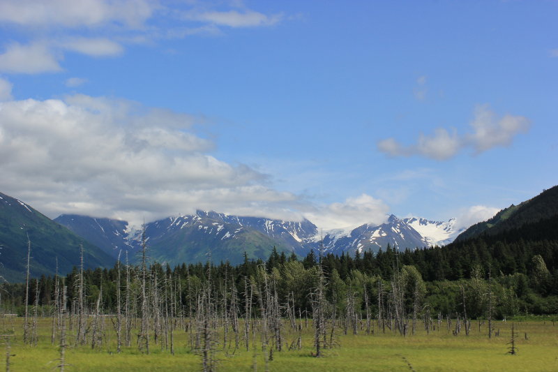 Turnagain Arms, Alaska